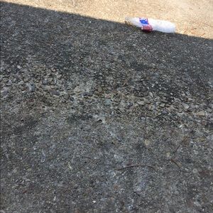 Meet your Posher, Walter